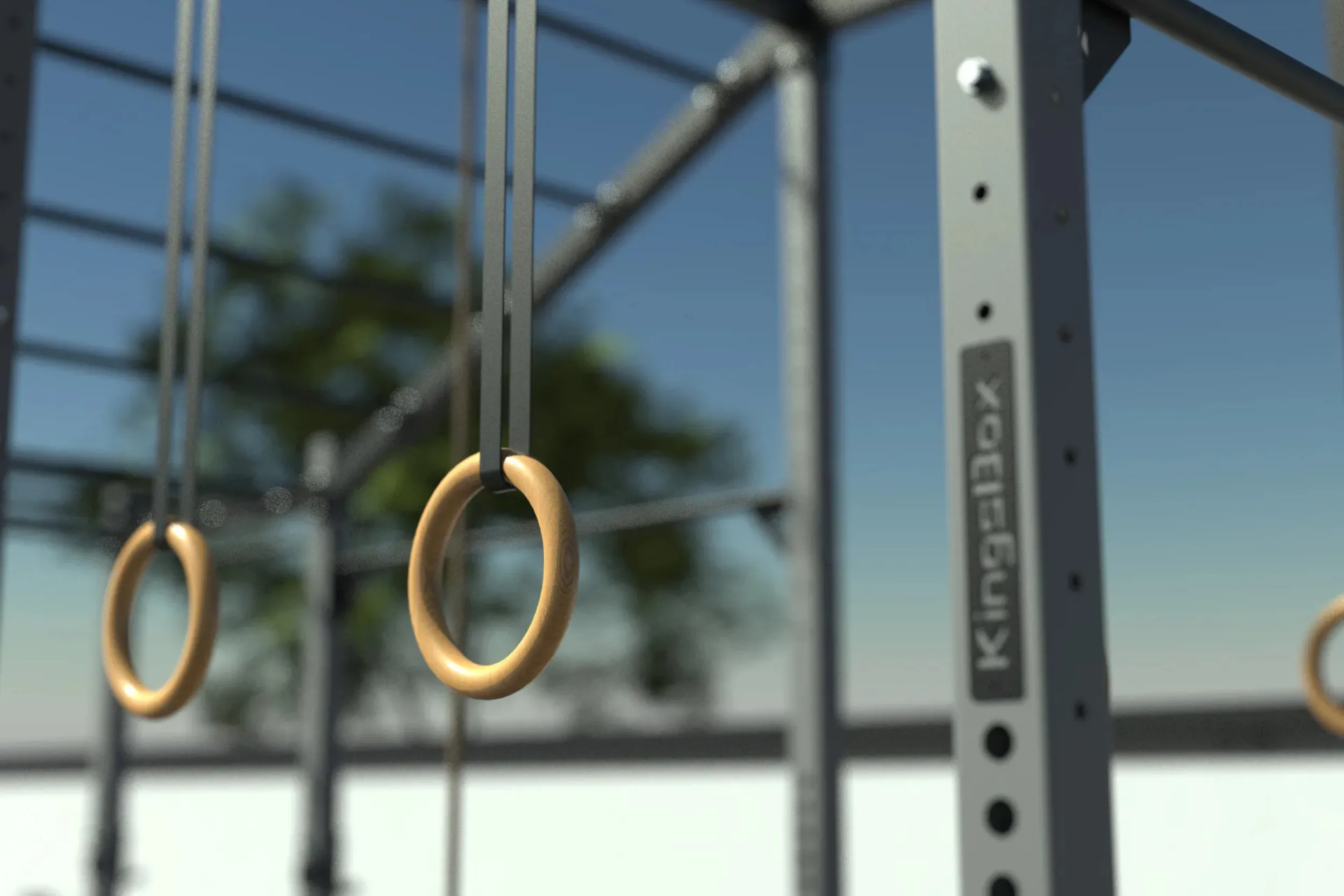 Freestanding Rig Mighty Outdoor Mountain | Rig en acero para gimnasios | KingsBox