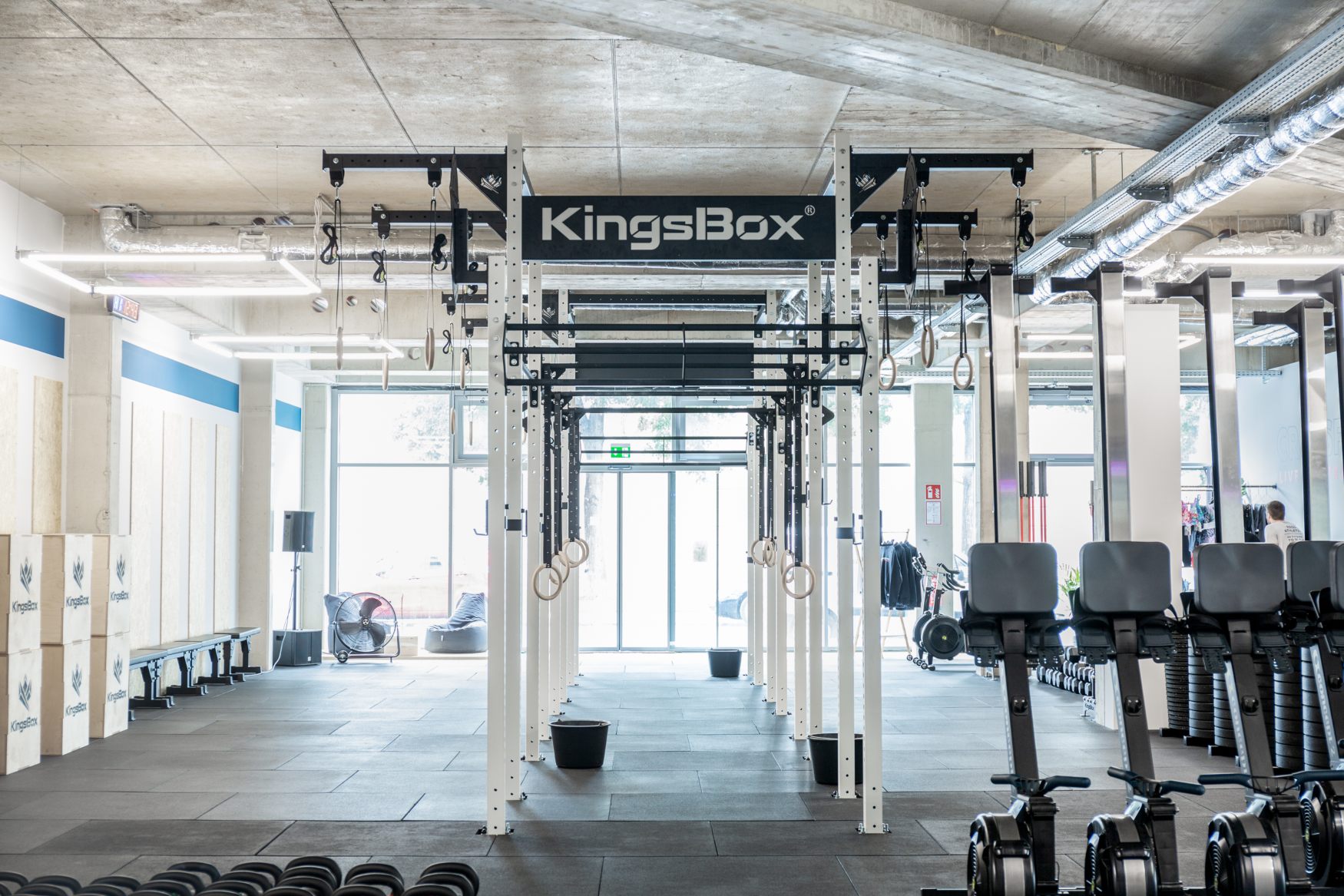 Royal Family Crossfit Live and Train case study