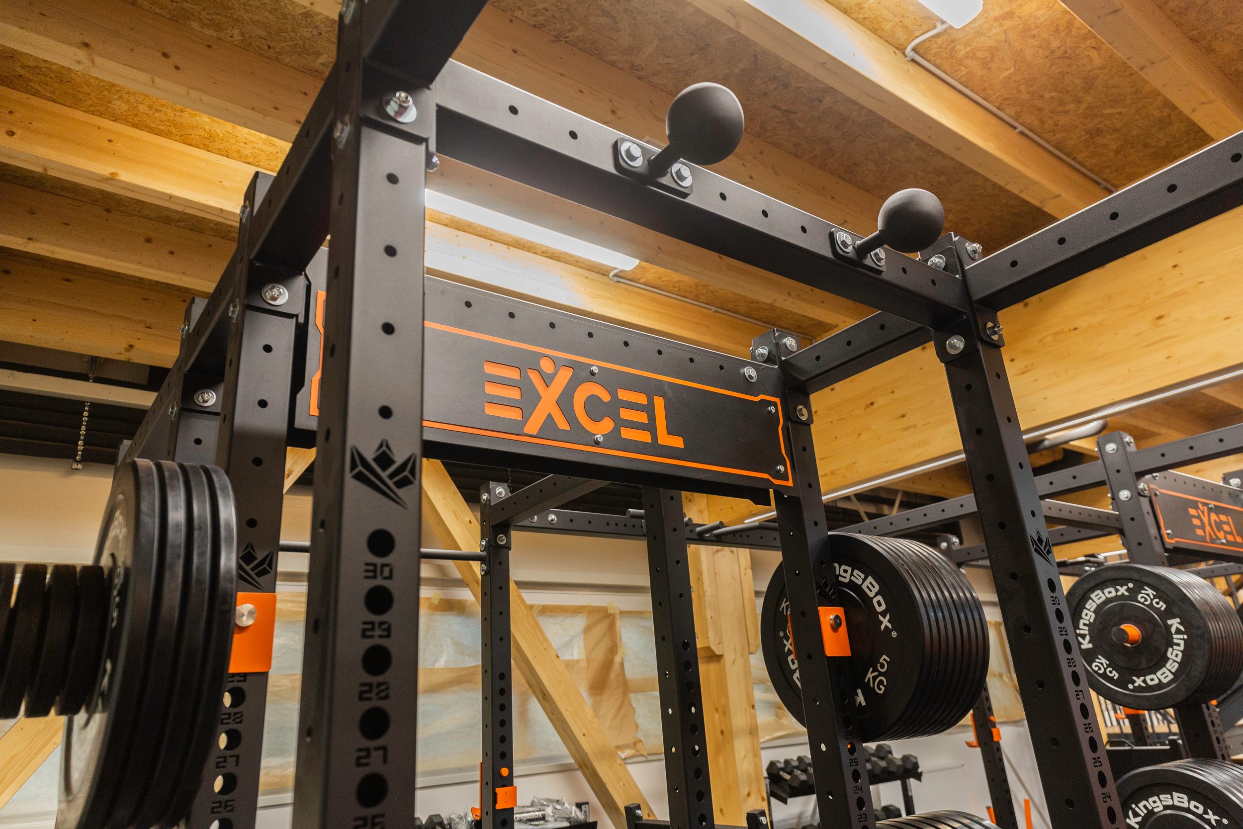 Royal Family Excel Gym case study