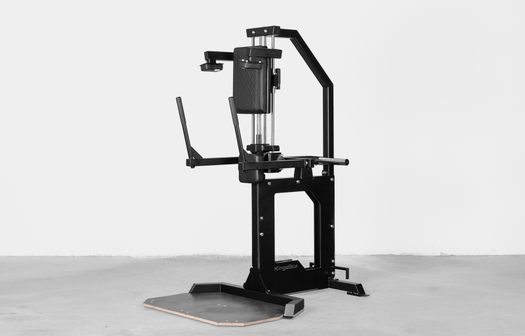 The wicked lord triceps kick back machine