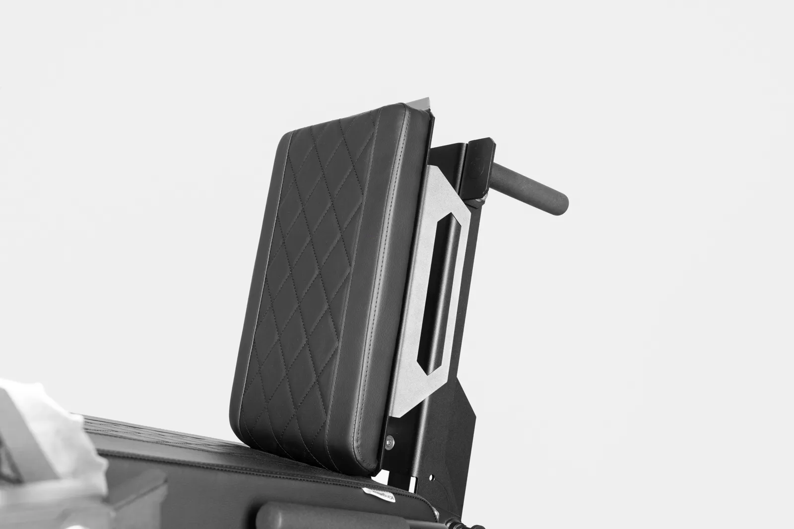 The Crazy Queen I 2 in 1 leg extension leg curl I Fitness equipment | KingsBox