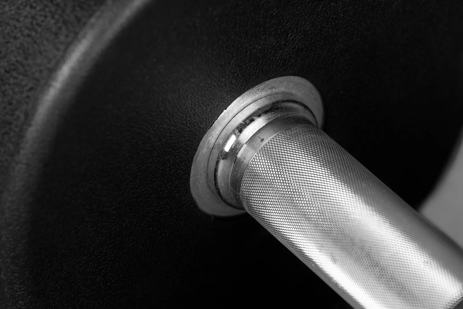 OUTLET - Royal Urethane Dumbbell (13 cm handle) | KingsBox