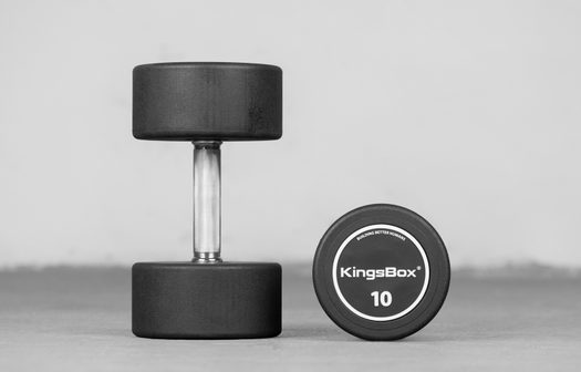 Usato - royal round dumbbells