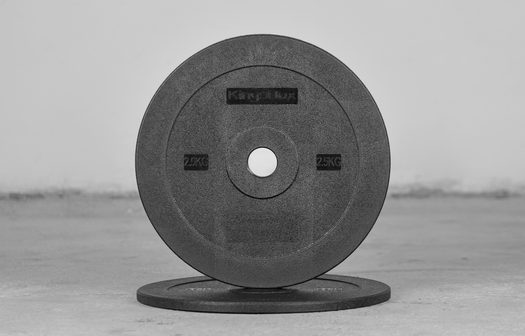 Used - technical discs 2.5kg