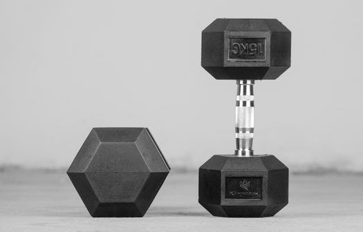 Usagé - kingsbox hex dumbbells