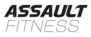 Partner Assault Fitness