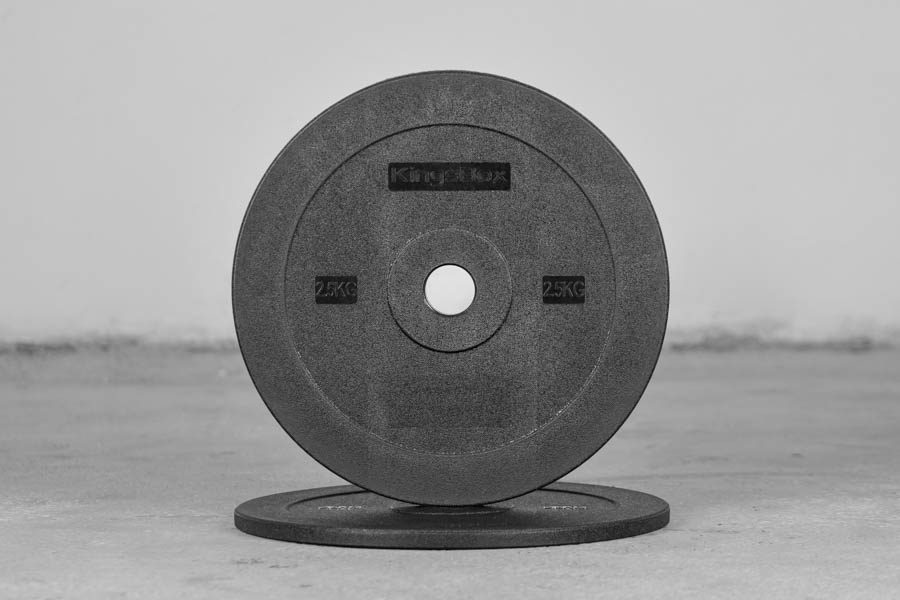 Technical Discs 2.5Kg (paire)