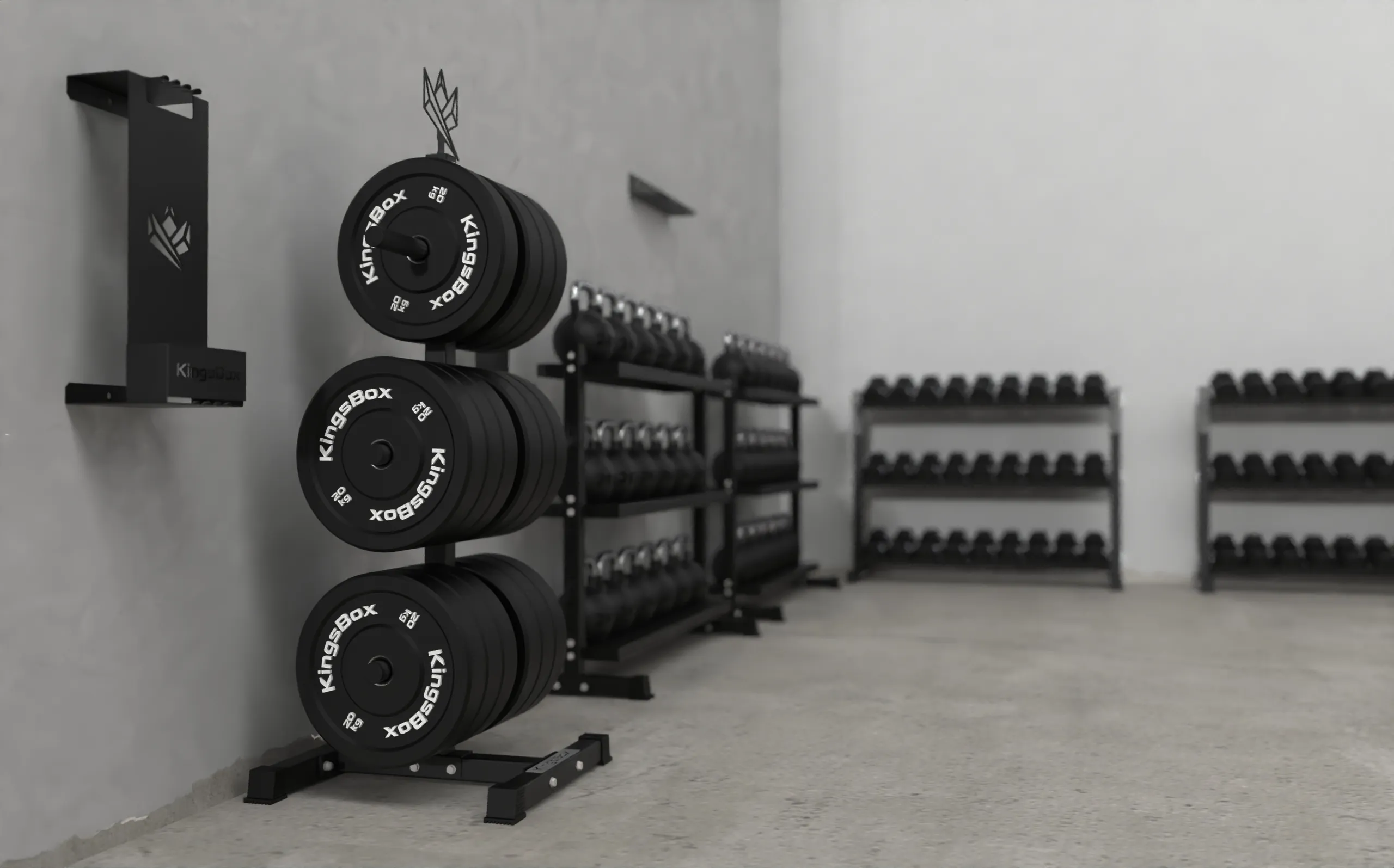 Un set de gimnasio para 14 personas | equipamiento de gimnasio | KingsBox