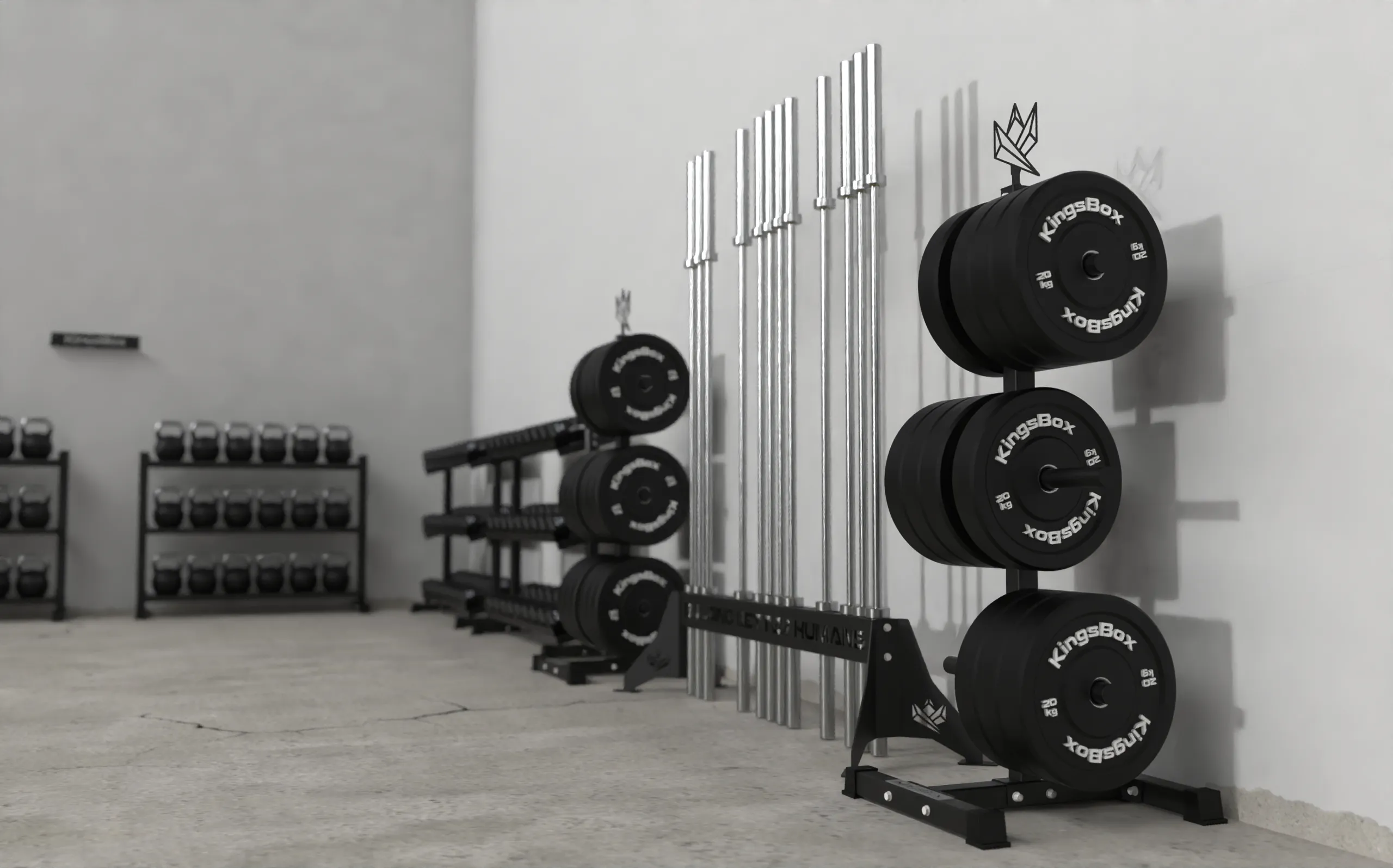 Un set de gimnasio para 14 personas | equipamiento de gimnasio | KingsBox