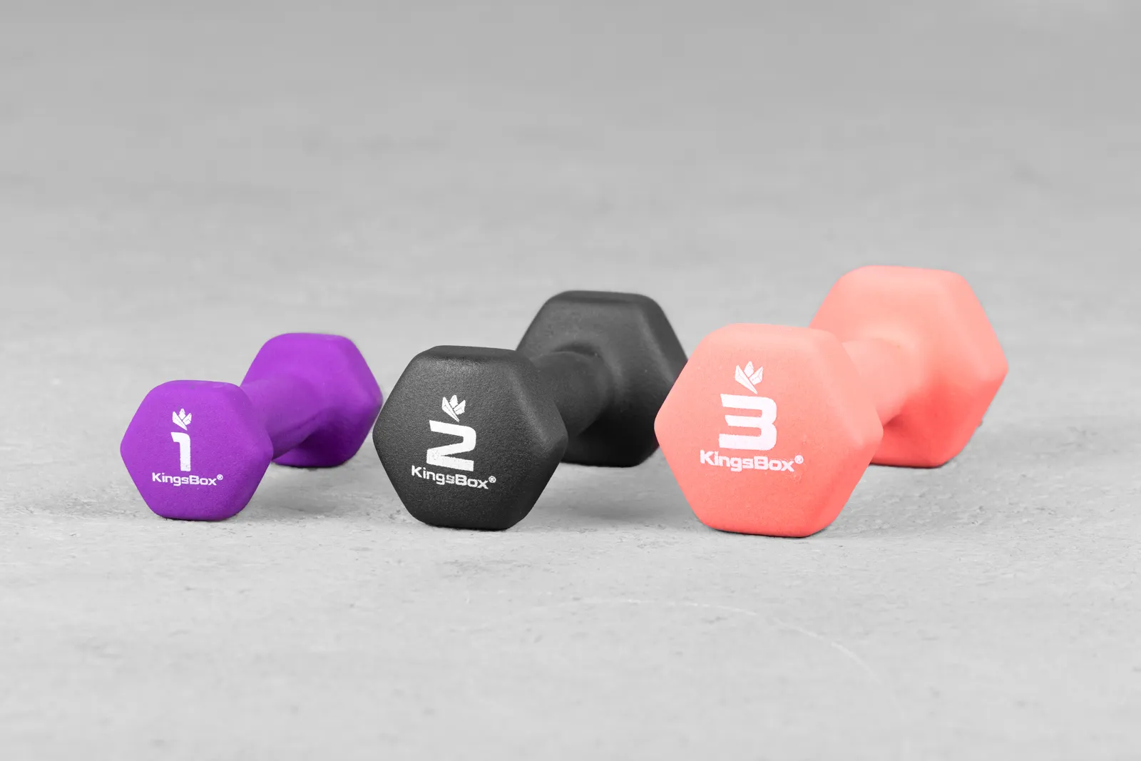 Vinyl Rubber Dumbbell | KingsBox