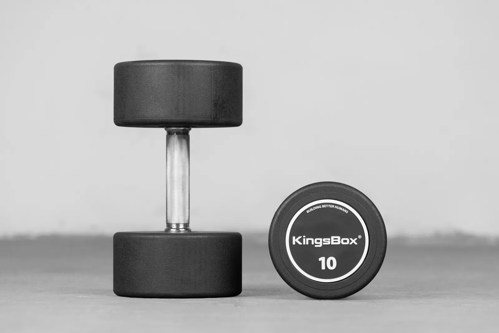 KingsBox Royal Runde Hanteln | Elite Gummibeschichtete Gewichtstraining | KingsBox