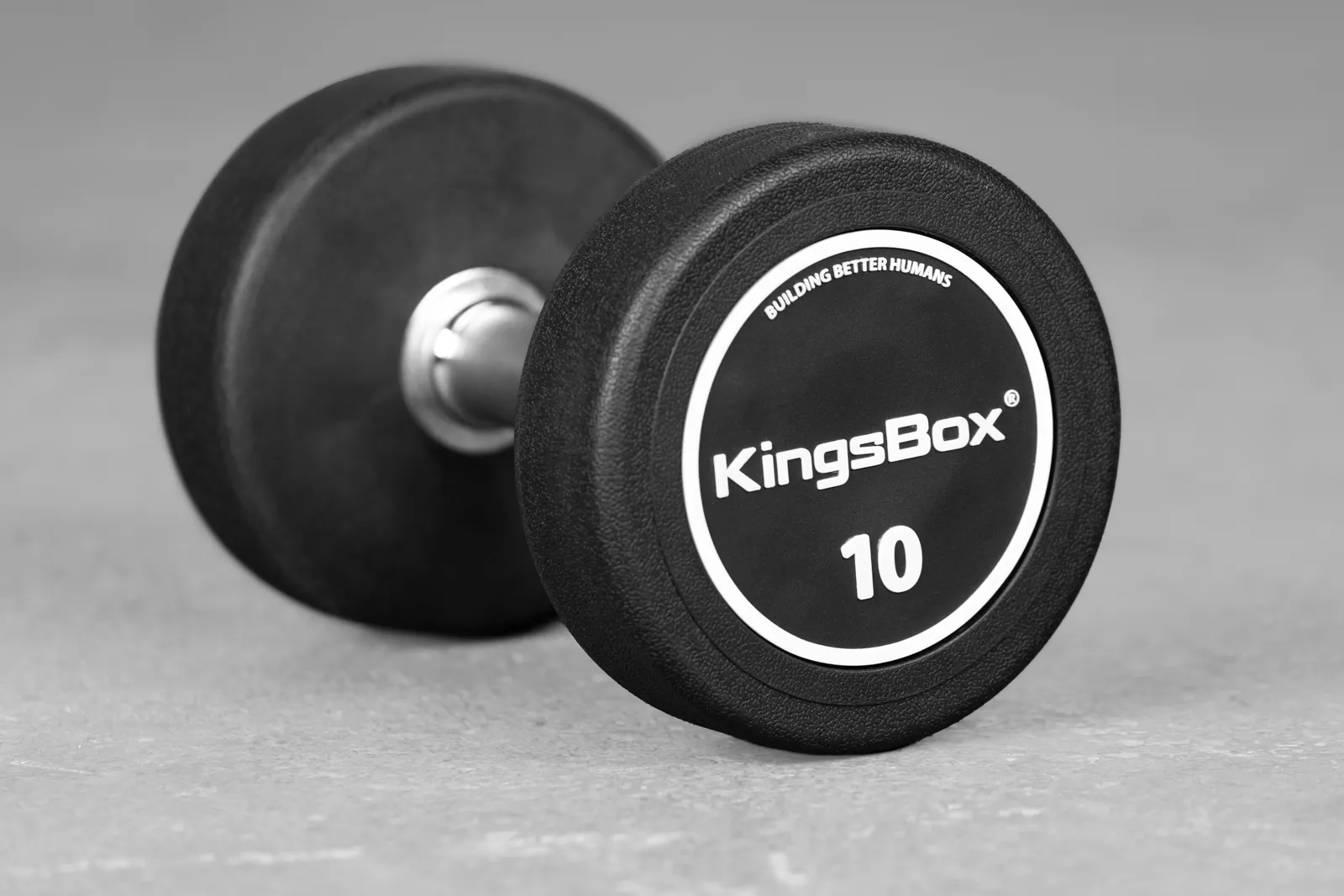 KingsBox Royal Runde Hanteln | Elite Gummibeschichtete Gewichtstraining | KingsBox