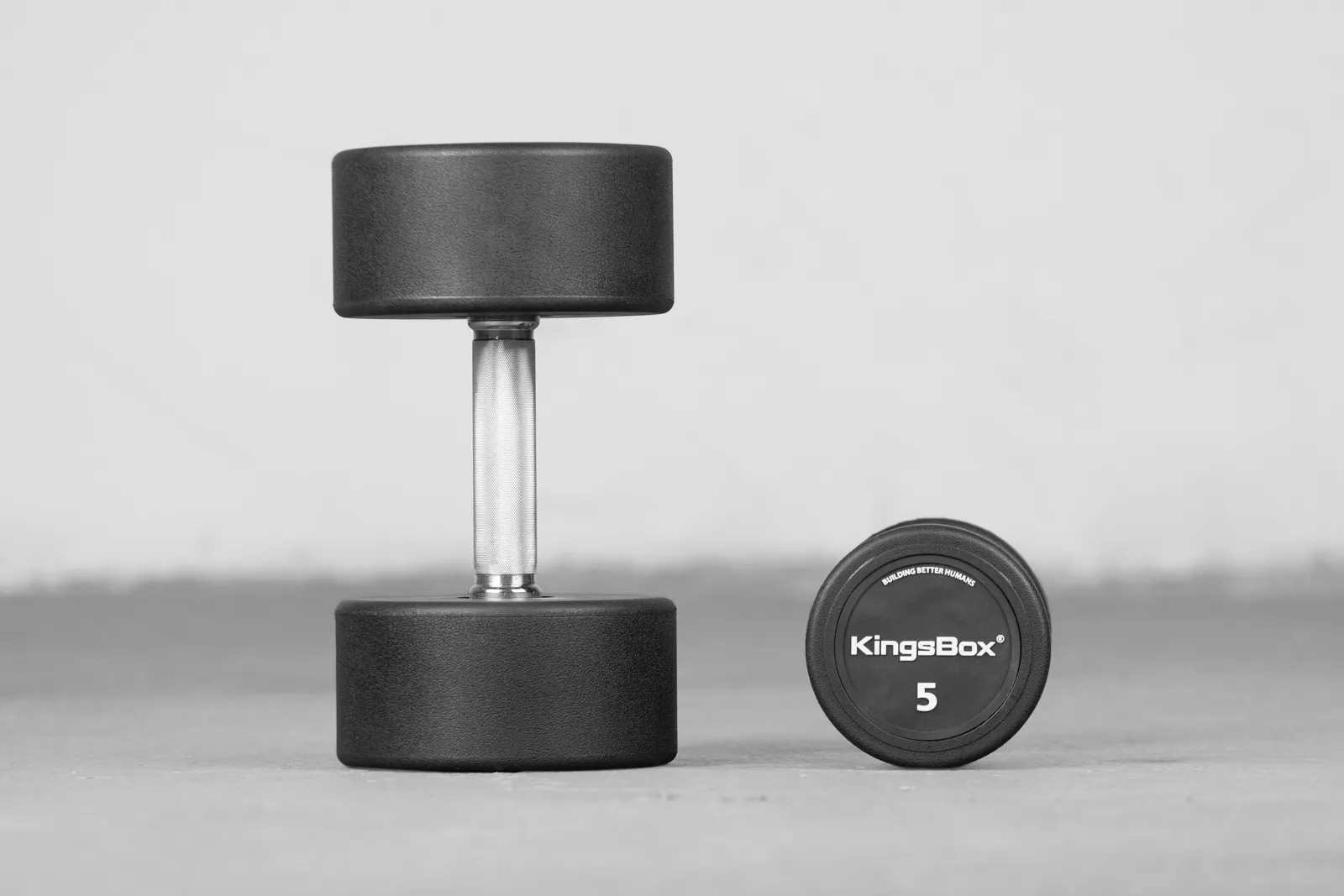 Royal Urethane Round Dumbbells | Elevate Your Weight Training | KingsBox