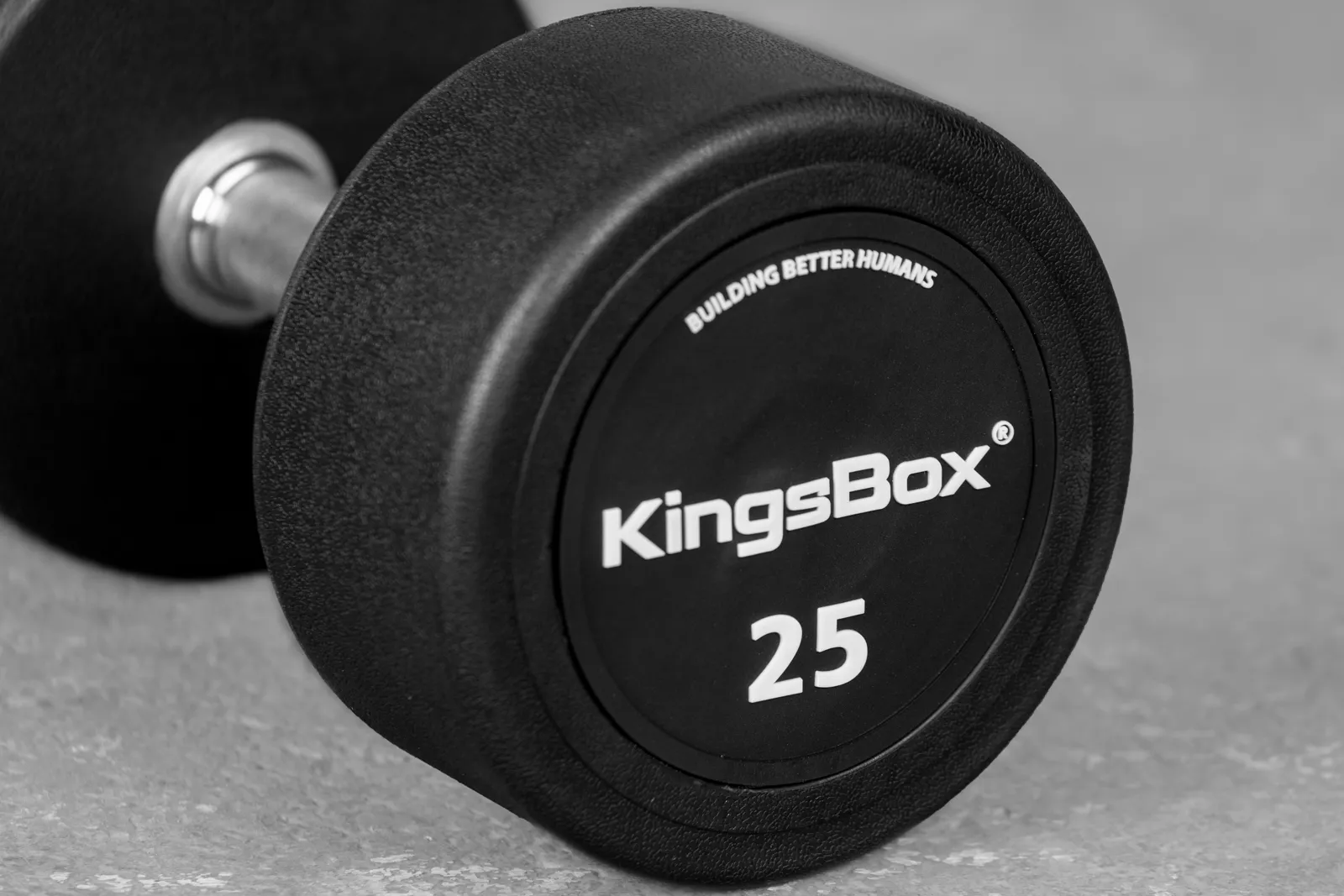 Royal Urethane Round Dumbbells | Elevate Your Weight Training | KingsBox