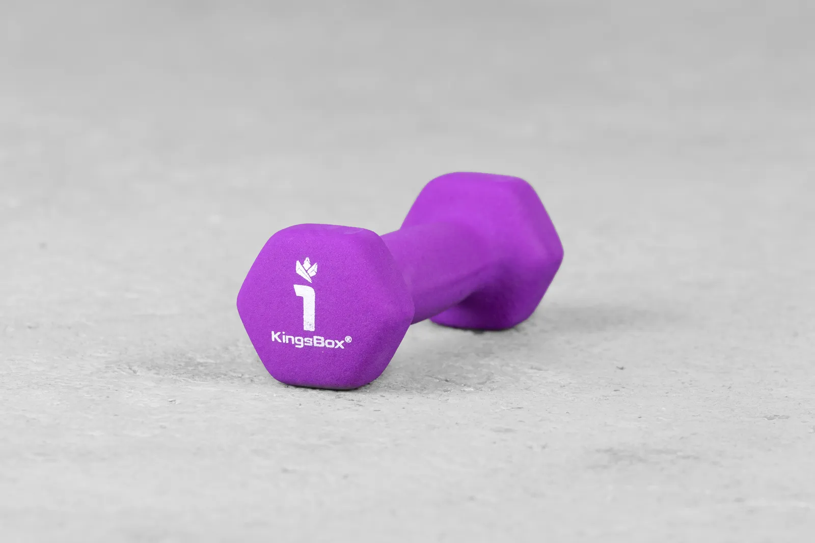 Vinyl Rubber Dumbbell 1kg | KingsBox