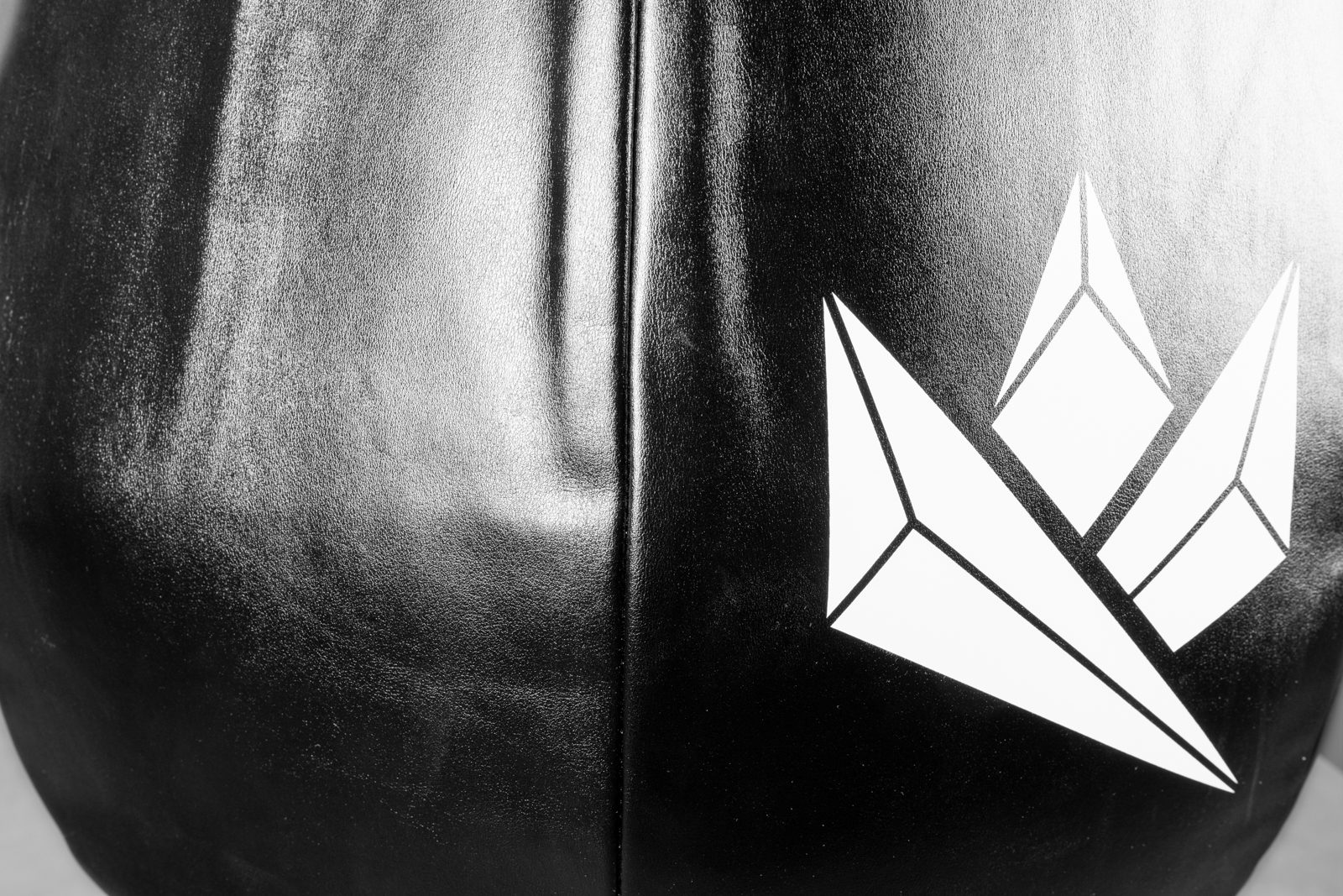 Royal Leather Punching Bag 2.0 | KingsBox