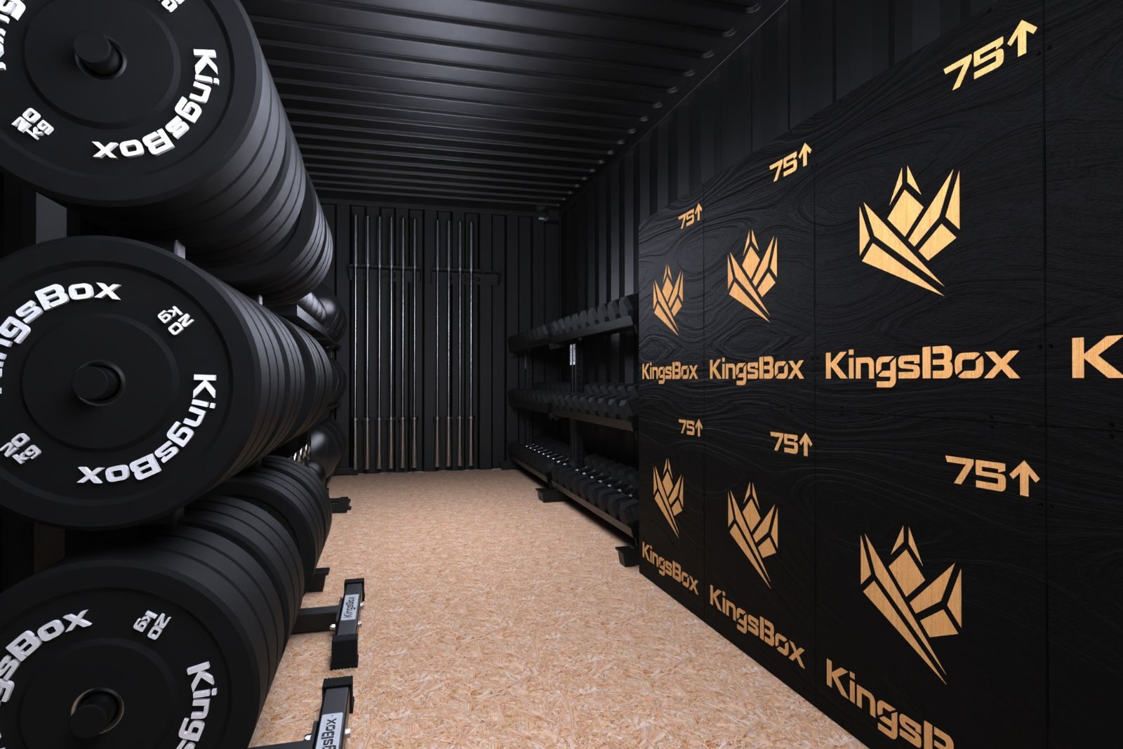 KingsBox Gym in Storage Container for 8 persons | KingsBox