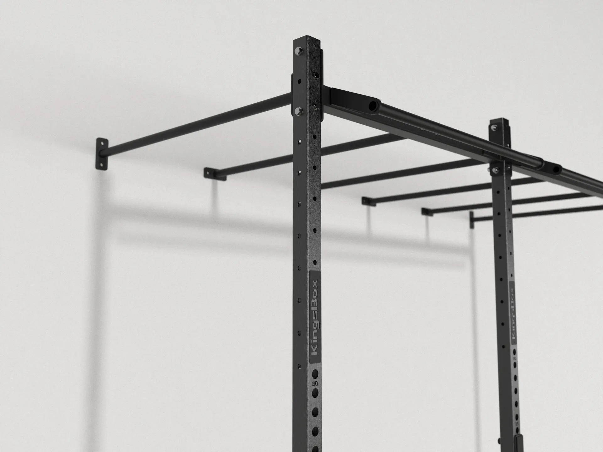 Royal Monkey Wall Rig | Rig aus Stahl für Fitnessstudios | KingsBox