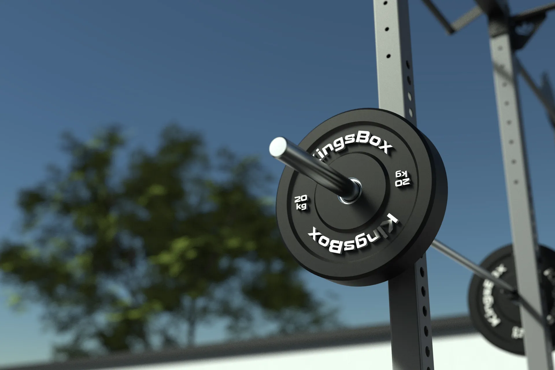 Outdoor Mighty Main Base Rig – Outdoor Gym Rig with Monkey Bars, Dip Bar & More | KingsBox