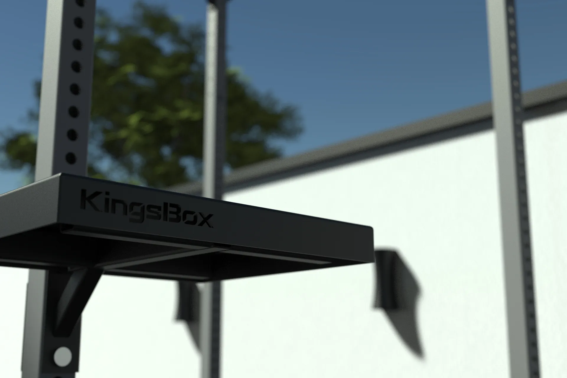Outdoor Mighty Main Base Rig – Outdoor Gym Rig with Monkey Bars, Dip Bar & More | KingsBox