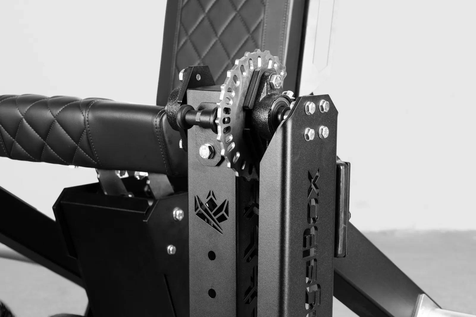 The Crazy Queen I 2 in 1 leg extension leg curl I Fitness equipment | KingsBox